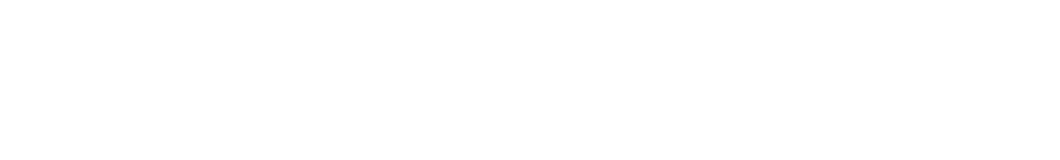 Dingsleder